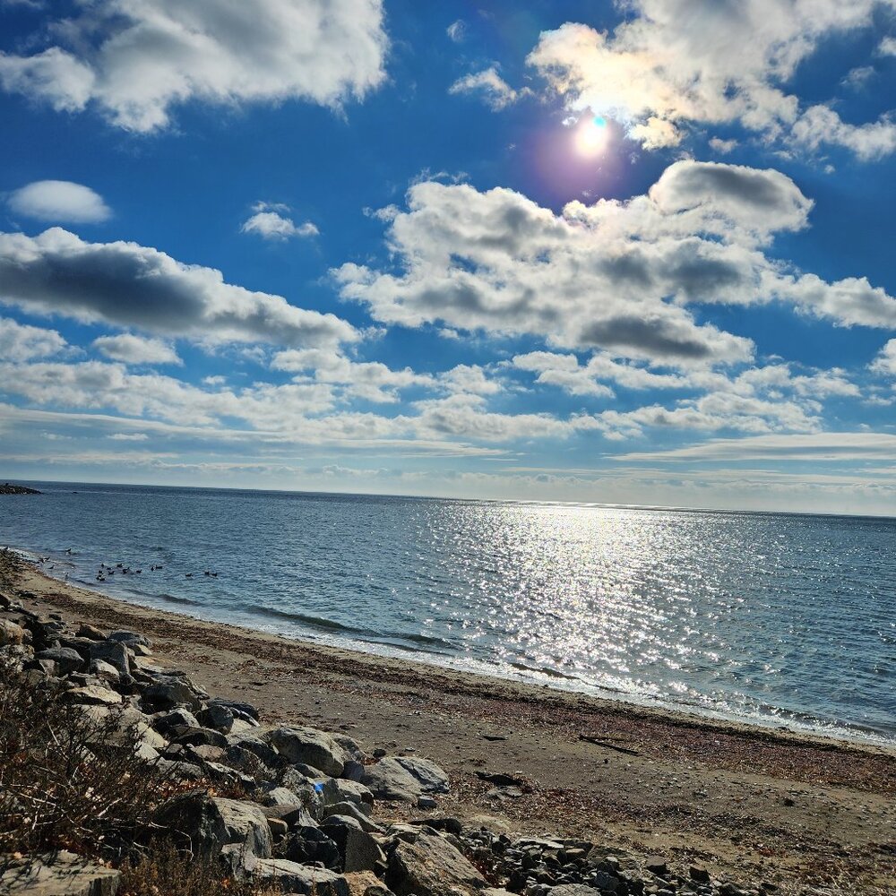 Meet your Posher, Violet